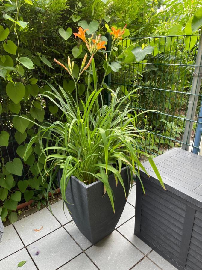 Sonnige Wohnung Im Zentrum Mit Terrasse U Tiefgarage - Netflix & Prime Leipzig Eksteriør bilde